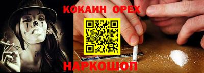 крисы Пенза