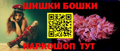 крисы Пенза