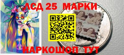 крисы Пенза