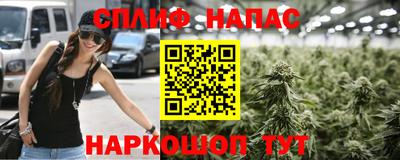 крисы Пенза