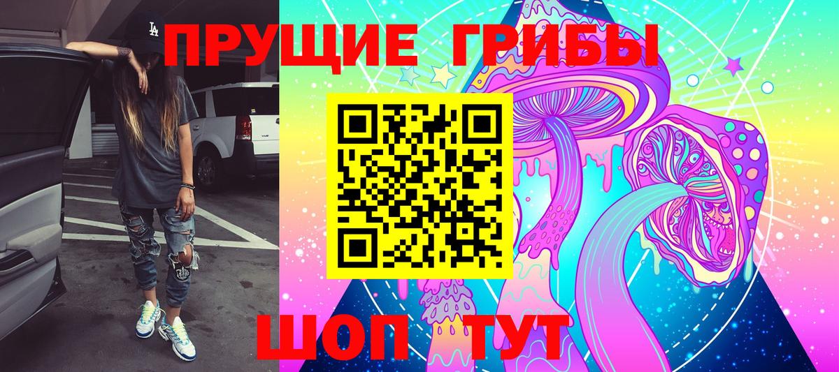 Псилоцибиновые грибы GOLDEN TEACHER Каспийск