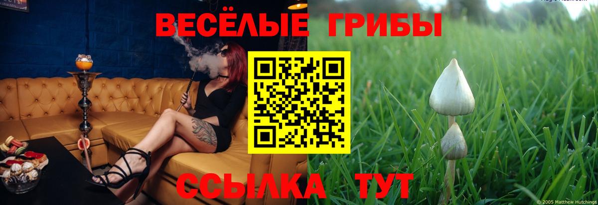 Каспийск  Псилоцибиновые грибы GOLDEN TEACHER  Вход с VPN  Галлюциногенные грибы Psilocybe 